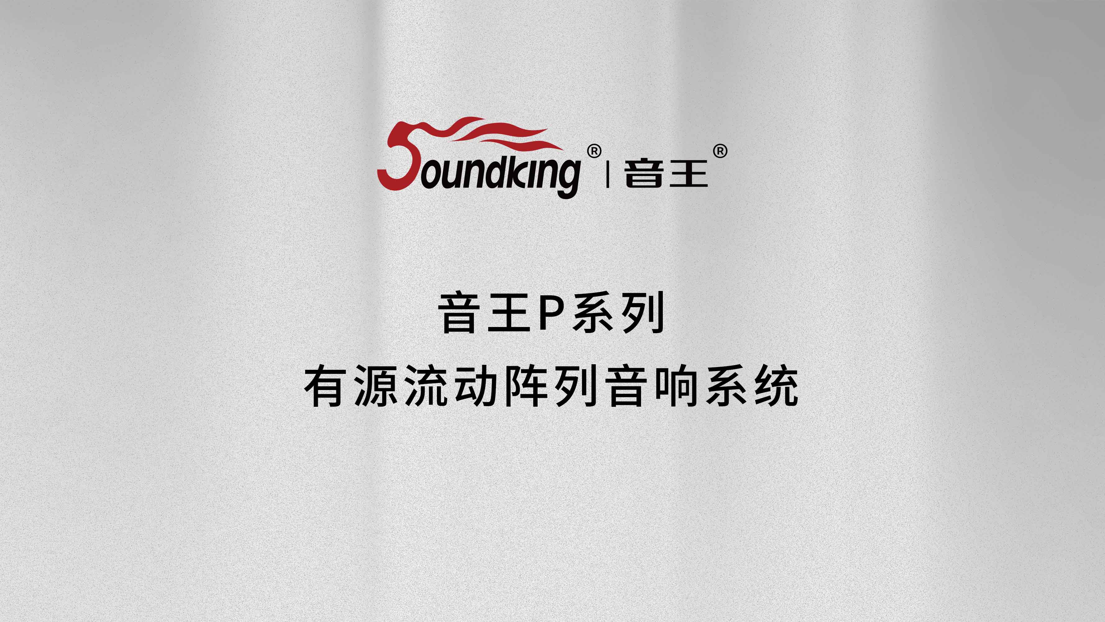 P系列有源流動陣列音響系統(tǒng)